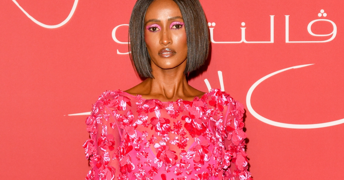 Chanel Ayan défend Sonja Morgan contre "Gross" Dave Portnoy