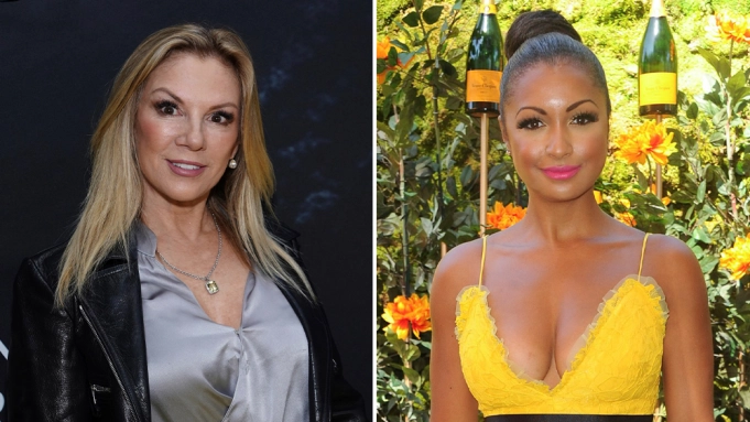 Les vraies femmes au foyer de New York