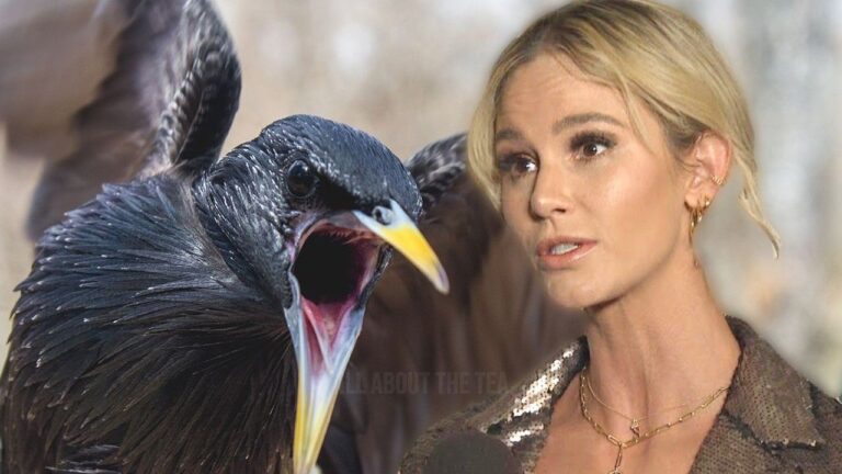 Meghan King accusée de cruauté envers les animaux… Les fans appellent les autorités !