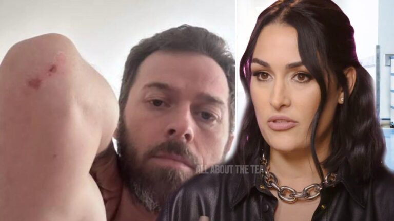 Artem Chigvintsev dit que Nikki Garcia a MENTI à propos de la violence domestique – il est la VRAIE victime !