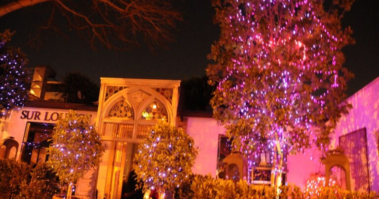 Guide des bars et restaurants Cast Rules de Vanderpump