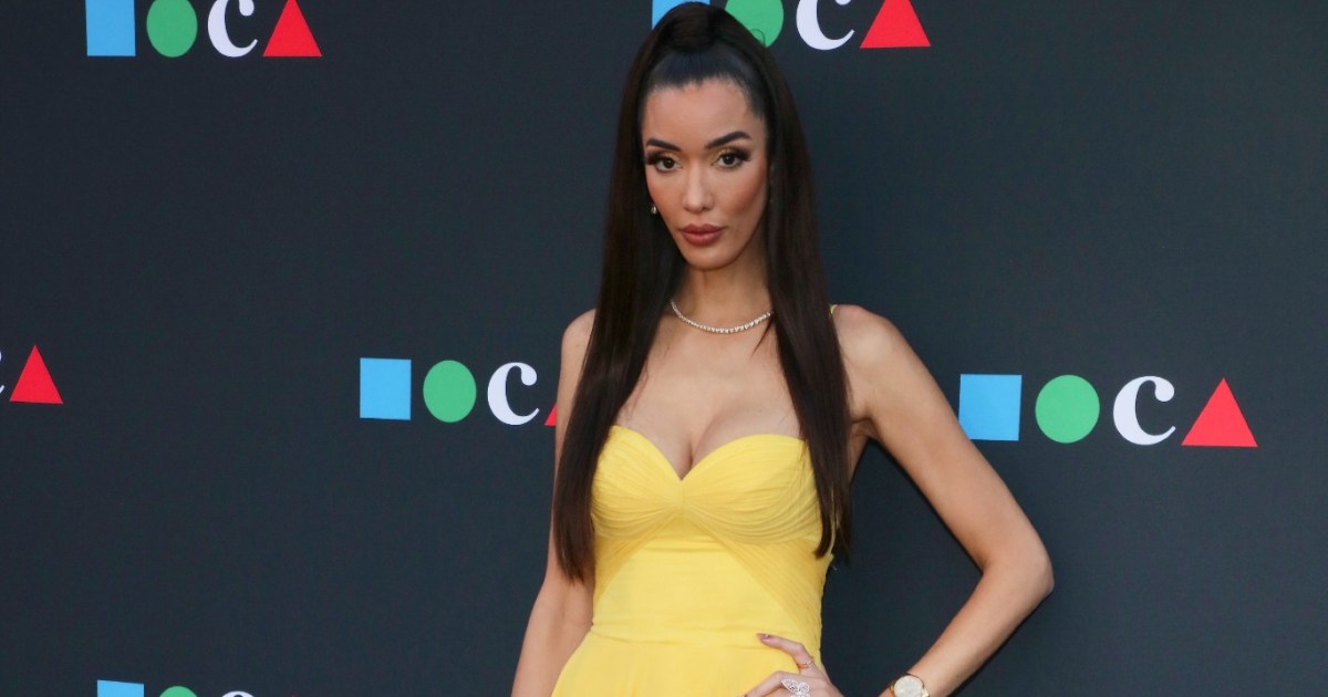 Le dépôt de mariage secret et de divorce rapide de l'alun de RHOC Noella Bergener a révélé