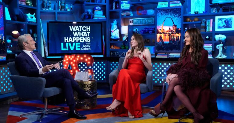 Meredith Marks du RHOSLC réagit aux rumeurs de vol d'identité de Bronwyn Newport sur la WWHL
