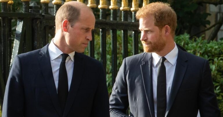 La visite du prince Harry au Royaume-Uni soulève des doutes sur la réunion du prince William – Source