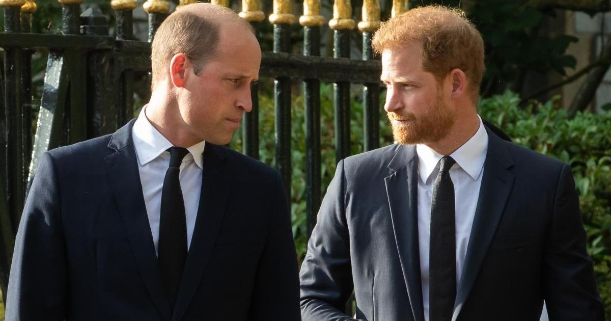 La visite du prince Harry au Royaume-Uni soulève des doutes sur la réunion du prince William – Source