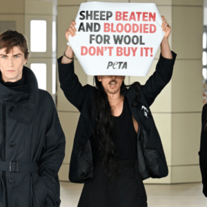 La protestation de la NYFW prend un tournant sauvage alors que le PDG du CFDA retient les militants de PETA
