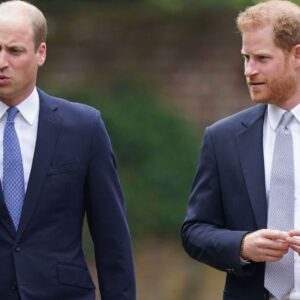 Le prince William qualifie le prince Harry de « pomme pourrie » alors que la querelle atteint son point d’ébullition – Source